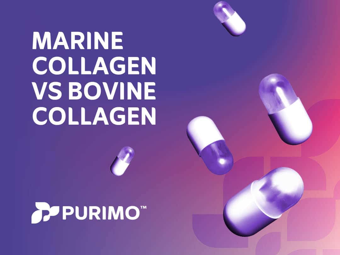 Graphic with text saying marine collagen and bovine collagen on a purple and pink gradient background, featuring cascading capsules along with the Purimo logo.