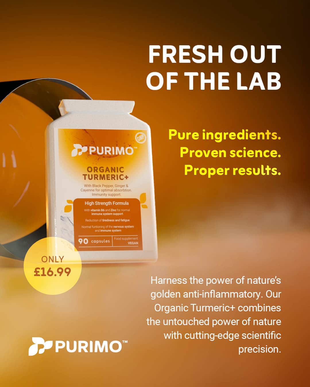 Fresh out of the lab: Purimo's Organic Turmeric+ supplement with ginger, black pepper, cayenne, B6 and zinc.